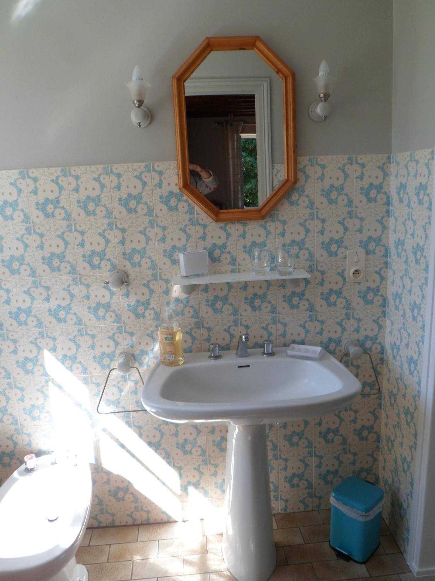 Hotel Domaine de La Héllière à Lailly-en-Val Chambre photo