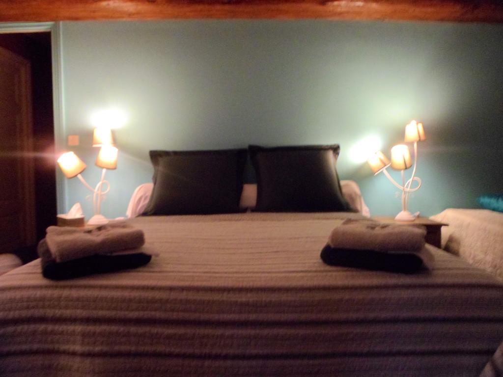 Hotel Domaine de La Héllière à Lailly-en-Val Chambre photo